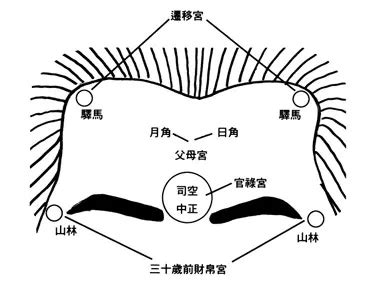 低額頭面相|額頭生得低、窄、陷的人有何命運特征？